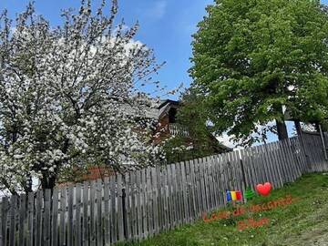 Фотографии Дома для отпуска Cabana la munte Bilbor г. Rocoteaş (Румыния) №1 Фото Дома для отпуска Cabana la munte Bilbor г. Rocoteaş 1